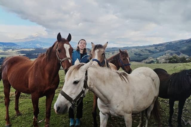 Authentic Quito: Old Town, Domes & National Museum