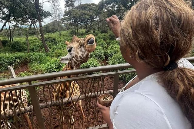 Giraffe Centre and Karen Blixen museum from Nairobi
