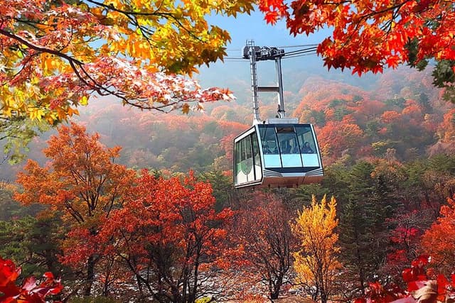 Autumn Foliage-Mt. Seorak, Sokcho Fish Market, Sokcho Beach
