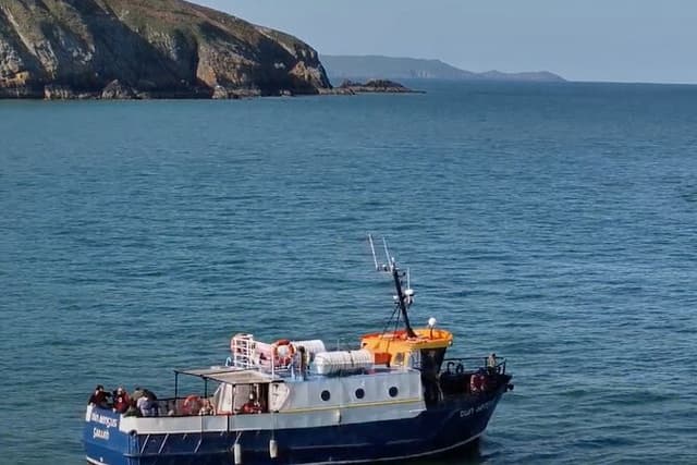 Howth Cliffs and Ireland's Eye Boat Tour