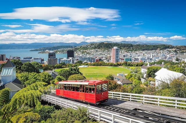 Full Day Private Tour Sightseeing Wellington Including Pickup