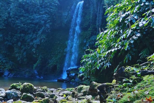 Majestic North São Miguel - Fogo Lagoon, Waterfalls & Tea (Lunch)