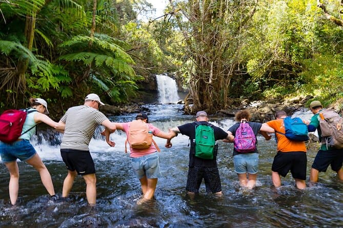 Best Maui Waterfall Tours & Tropical Island Adventures