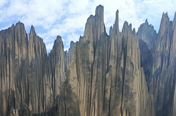 Compare Top Valle de las Animas Tours