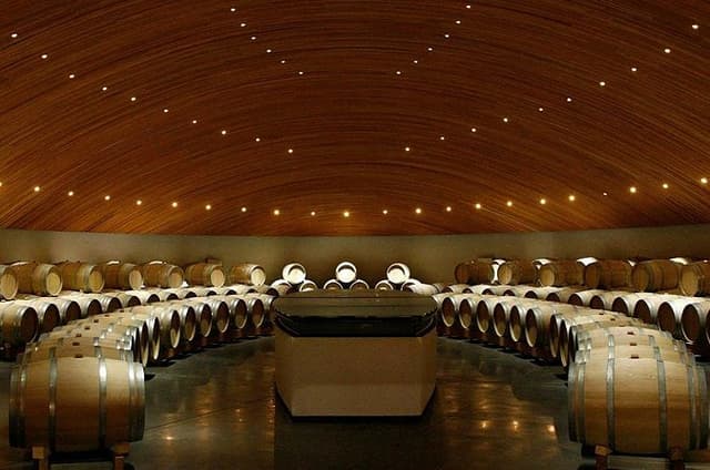 Clos Apalta and VIK Winery Private Experience