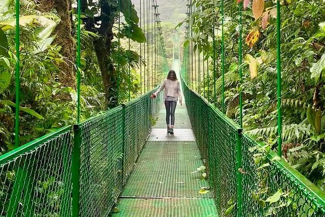 Monteverde Hanging Bridges with Naturalist Guide