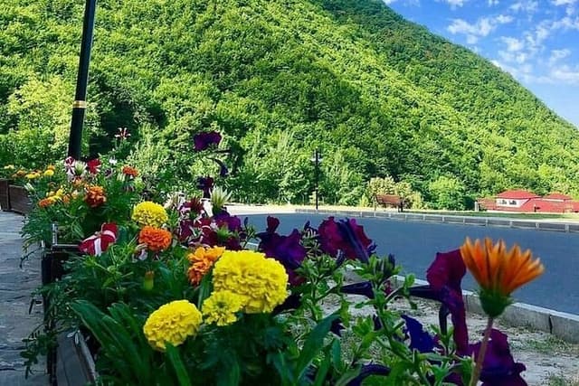 1 day Shamakhi and Gabala tour