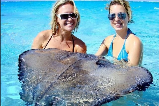 Stingray Adventure and Long Bay Beach
