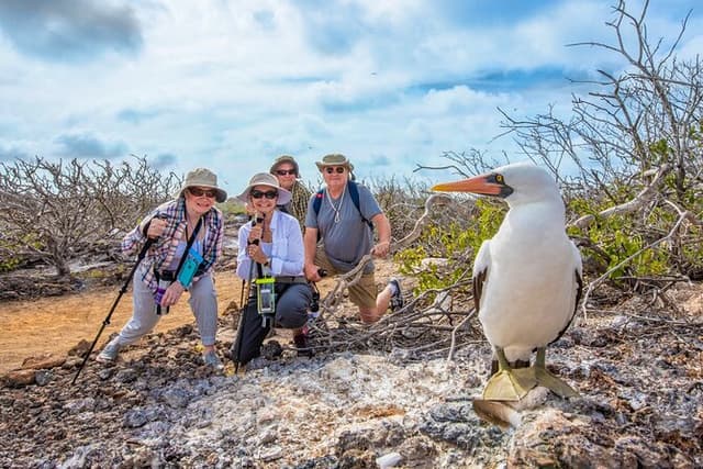 YACHT ISABELA II ISLANDS OF FIRE ADVENTURE NORTHEASTERN (Mon-Fri)
