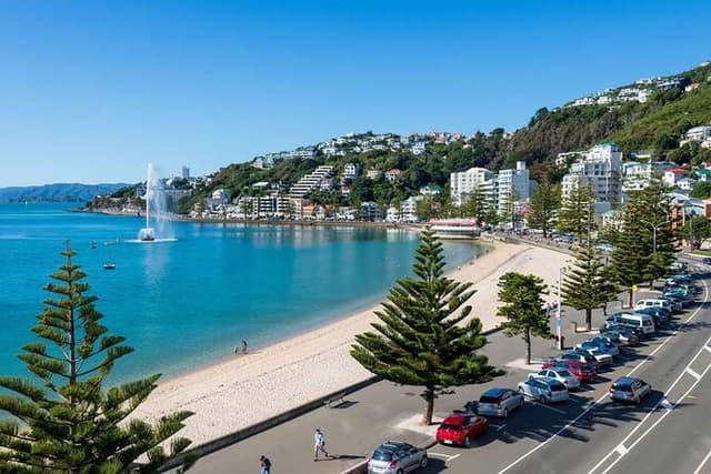 Full Day Guided Wellington Tour including guided tour at Te Papa