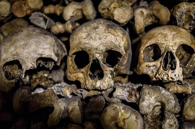Catacombs History and Dark Paris PRIVATE EXTERIOR Tour