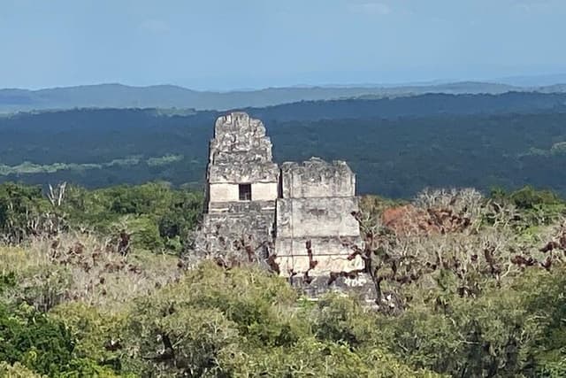 Mayan Adventure: Tikal in a Day