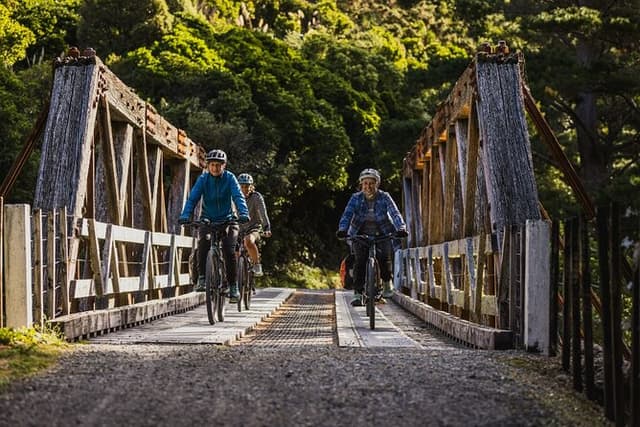 Remutaka Rail Trail- Wellington eBike Cruise Ship Shore Excursion