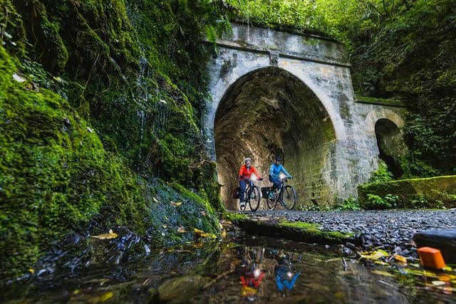 Wellington Remutaka Rail Trail eBike Cycle Tour