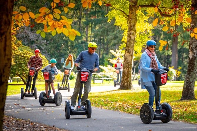 Best Queenstown Day Tours: Explore New Zealand's Wonders