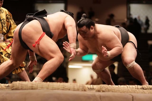 Sumo Wrestling Chair Seats & ExpertGuide | Tokyo Sep