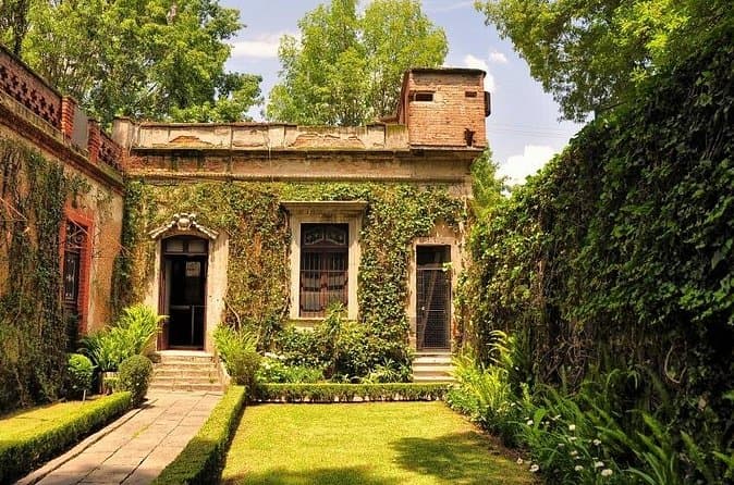 Explore Top-Rated Mexico City Museums
