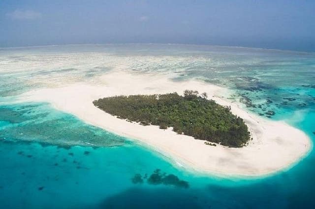 Mnemba Island Full Day Live Aquarium & Turtle House - Zanzibar 