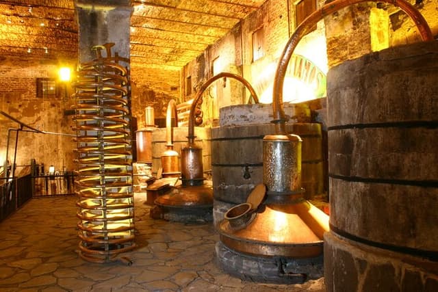 A unique tour! Visiting Hacienda Casa herradura From Guadalajara