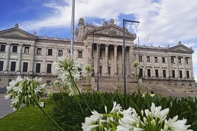 Private Tour in Montevideo – Customize with Add-Ons & Activities