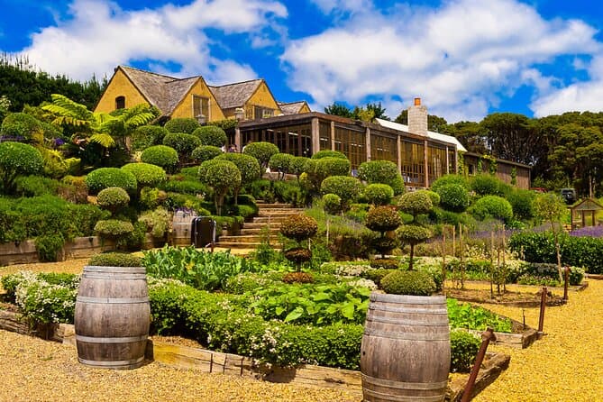 Best Rated Waiheke Island Vineyard & Wine Tours