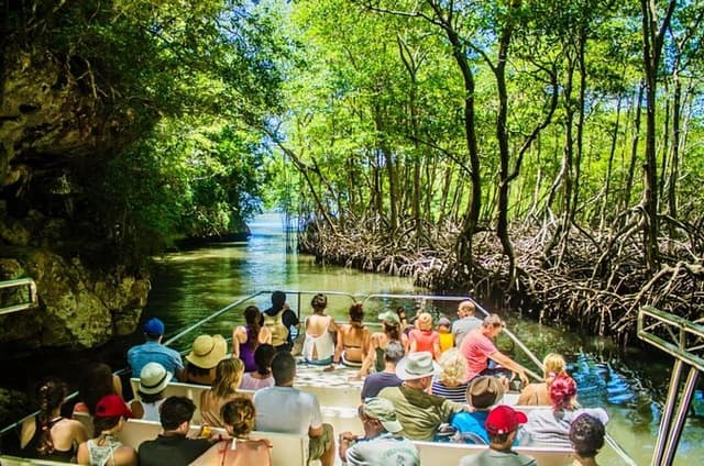 Los Haitises N. Park, Yanigua Waterfall & Montaña Redonda Tour