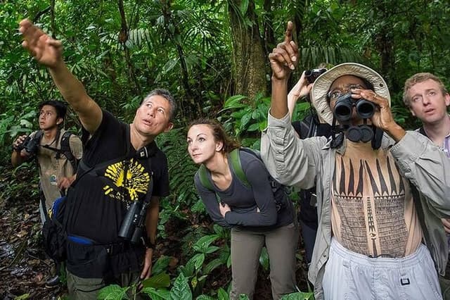 Yasuni Tours - 4 Days 3 Nights - From Puyo, Pastaza - Ecuador
