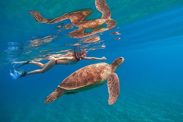 Marsa Mubarak Snorkeling Sea Trip & Transfer & Lunch – Marsa Alam