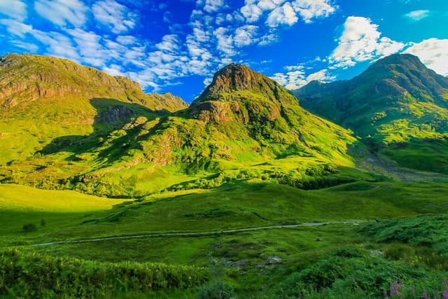 Highlands Cows Glencoe and Castles Private Tour from Edinburgh