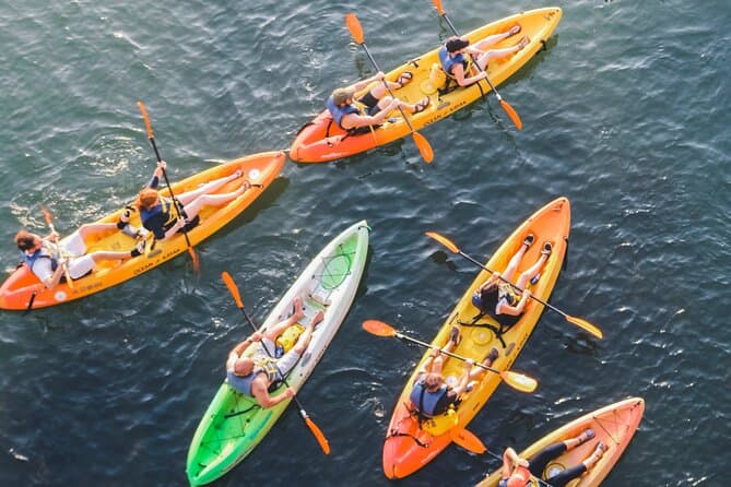 Best Austin Cycling Adventure: Lady Bird Lake Tours
