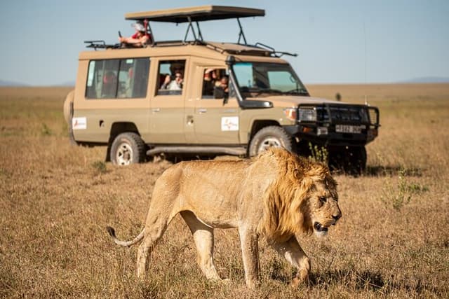 7-Day Premium Luxury Tanzania Safari All-Inclusive