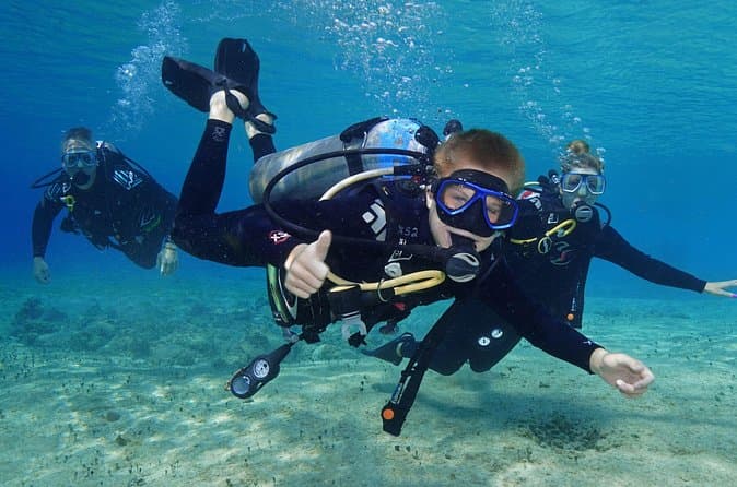 Best Cozumel Dive Tours Compared