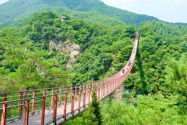 2026 Travelers’ Choice Best of the Best: DMZ Tour from Seoul