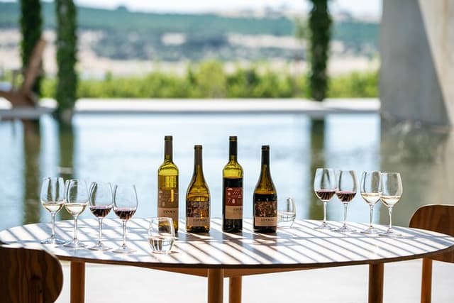 1 Day Wine Tour Around Évora