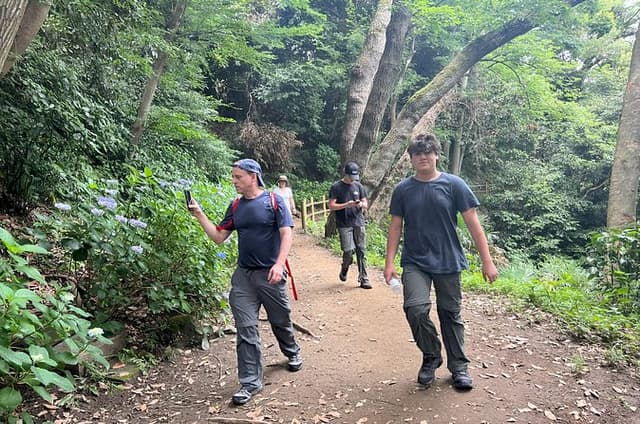From Tokyo: Kamakura Private Hiking Tour with Guide