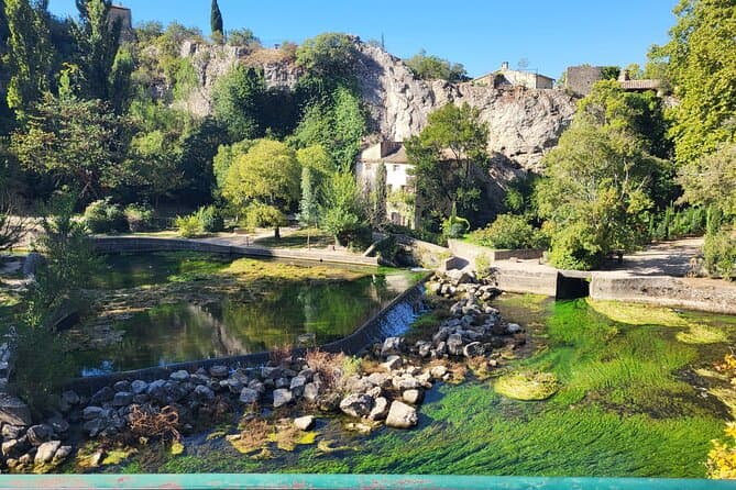 Best Guided Tours & Provence Day Trips from Avignon