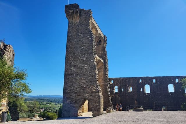 Roman Heritage & Wine Legacy