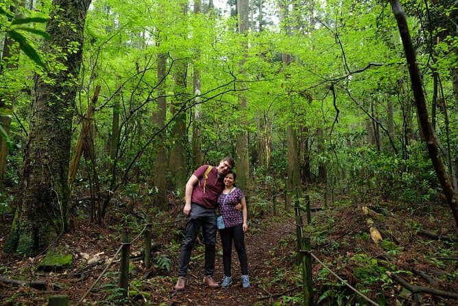 Experience the Magic of the Hakone Hachiri Trail