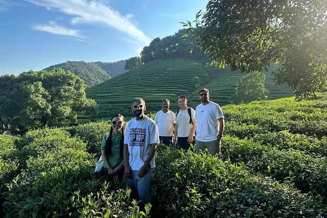 Hangzhou Private Tour from Shanghai by Bullet Train