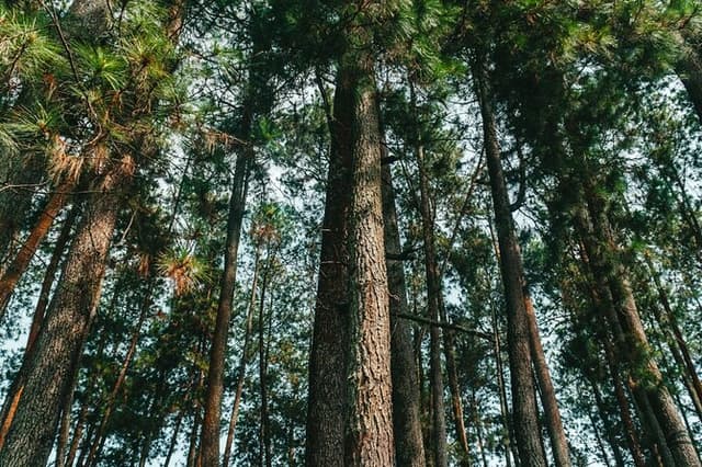 7 Hour Private Bandung City Tour
