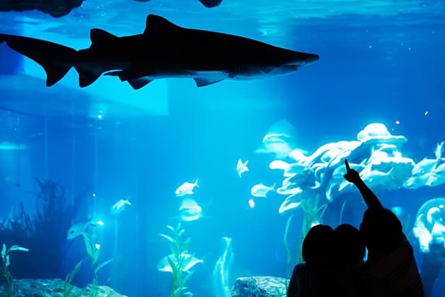 South Korea a Sea Life Busan