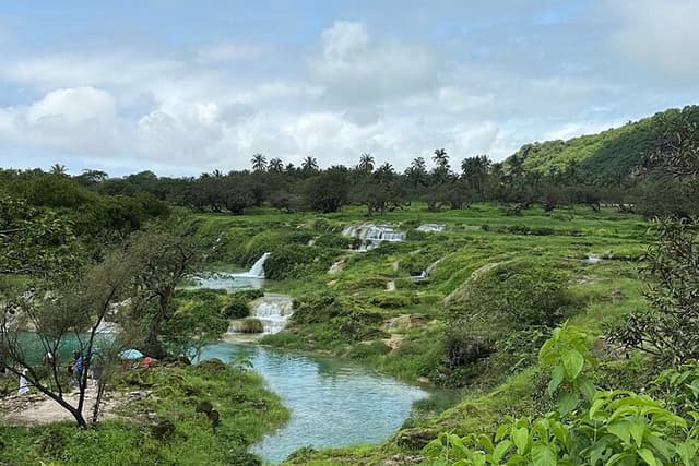 Mountain Safari Private Tour