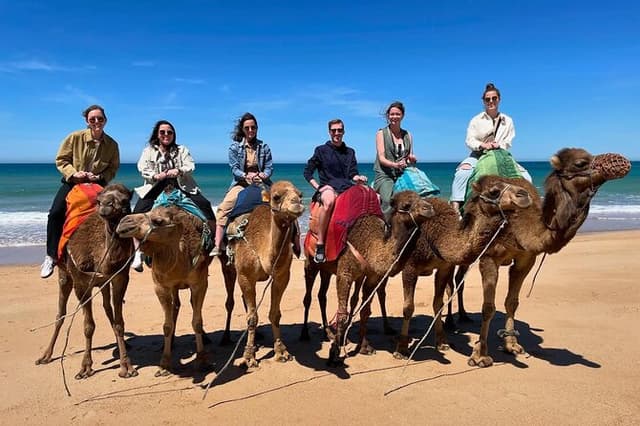 4 hour private Tour of Tangier