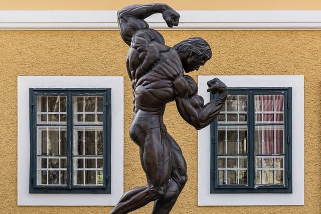 Arnold Schwarzenegger Museum & Graz Private Tour from Vienna