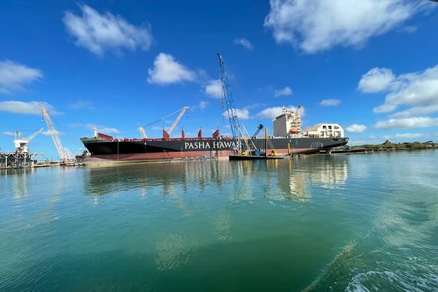 Port of Brownsville Nature Tour