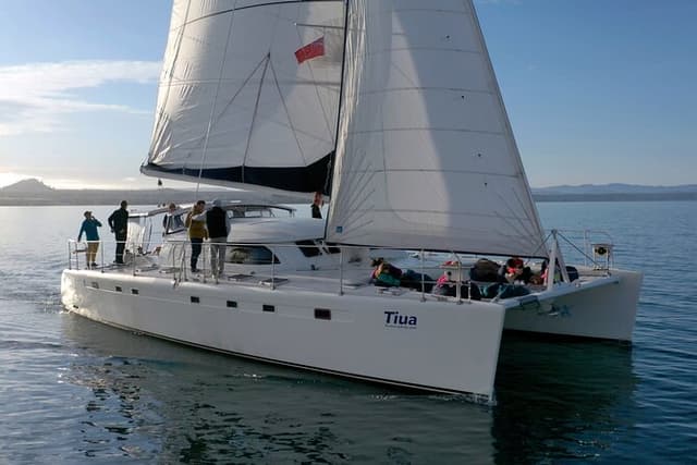 Luxury Sailing - Māori Rock Carvings - Taupo Sailing Adventures