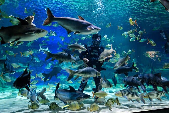 Siem Reap's Premier Wildlife & Aquarium Experience