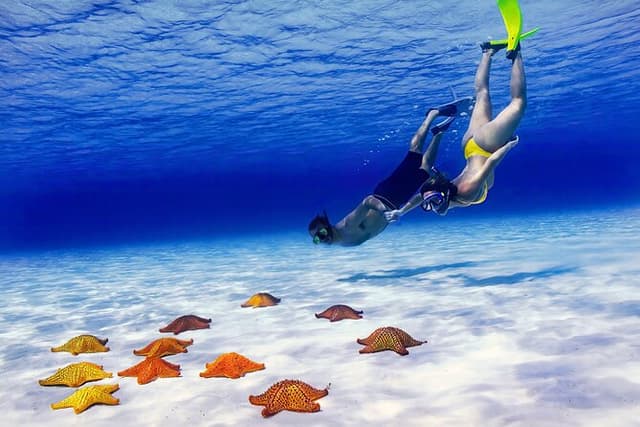El Cielo Cozumel Snorkel Private Tour Big Group + Food Drinks