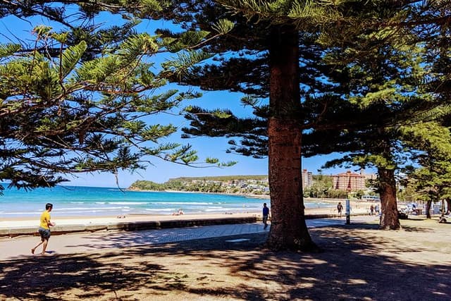 Manly and Northern Beaches Explorer — Clifftop Explorer