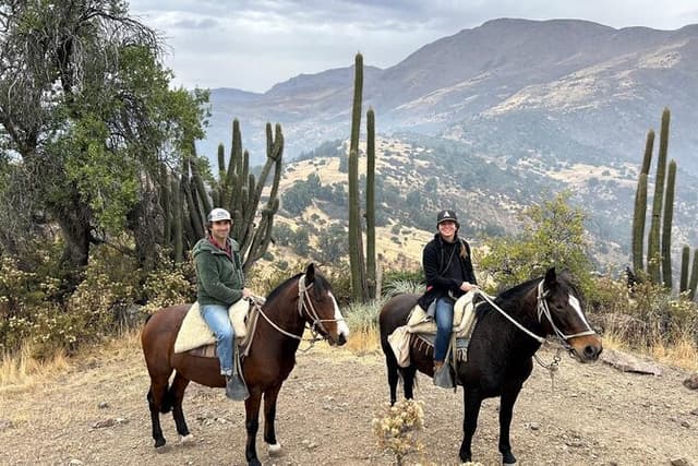 Private Horse Riding with Cheese and Wine in the Andes